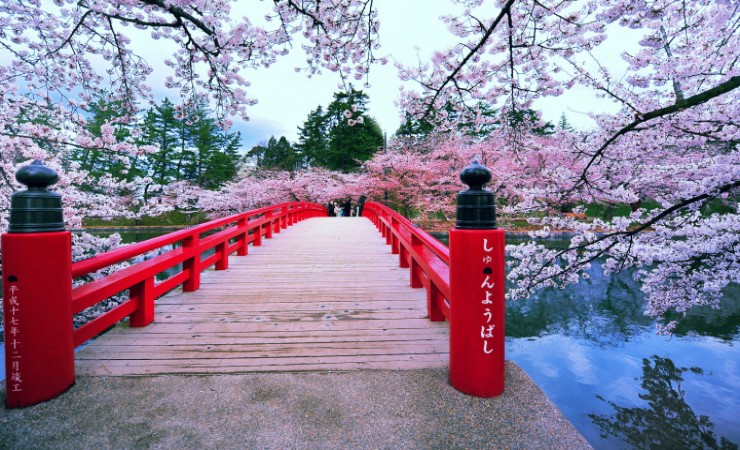 skypark holidays-Japan