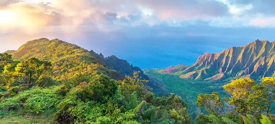 skypark holidays-United Arab Emirates